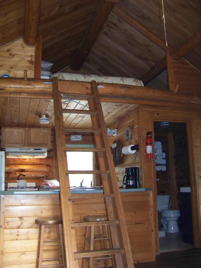 Box Canyon Cabins Seward Bagian luar foto