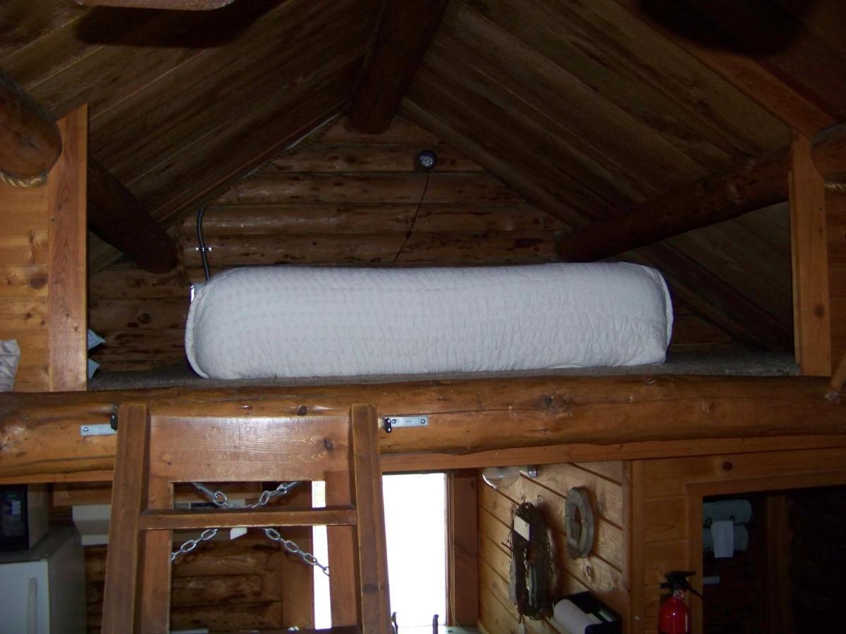 Box Canyon Cabins Seward Bagian luar foto