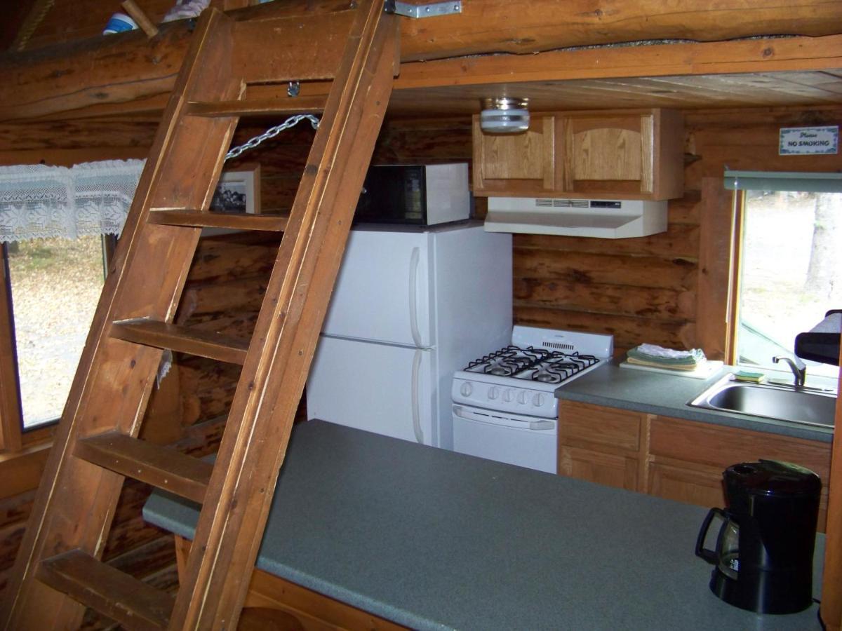 Box Canyon Cabins Seward Bagian luar foto